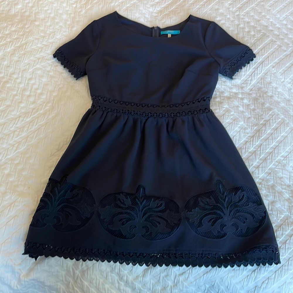 Francesca’s Navy Dress